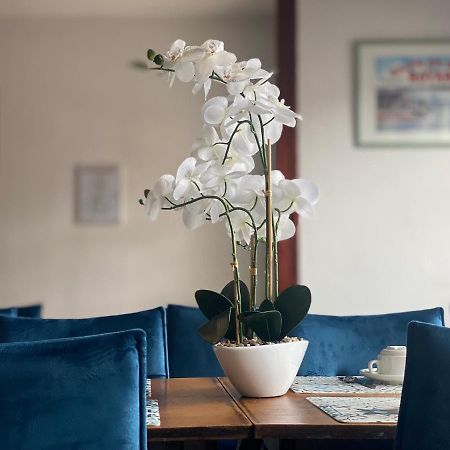 Hotel Le Pasteur 鲁瓦扬 外观 照片